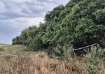 Nalez kostrovych pozostatkov v obci Velke Ripnany vysetruju ako vrazdu