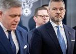 Fico verzus Pellegrini alebo boj o NBS