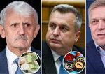 Politika plna slubov Preco nemame dvojnasobne platy
