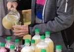Burciakova sezona Ako vybrat kvalitny burciak