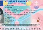 Europarlament prijal nove pravidla pre vodicske preukazy