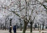 Teplotny prepad o 15 stupnov Slovensko zasiahla studena vlna