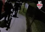 Prilepok o kajucnikoch ovplyvni boj so zlocincami