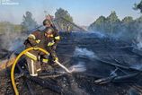 Kyjev sa stal po skonen prmeria terom masvneho toku dronov Rusko poda Zelenskho zatoilo s viac ne 200 strojmi