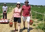 Novy tyzden prinese velmi teple pocasie najma na juhu krajiny