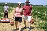 Novy tyzden prinese velmi teple pocasie najma na juhu krajiny