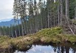 Ochrnari objavili nove pliesko v Nizkych Tatrach na mieste kde sa planuje vystavba zjazdovky