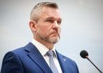 Lekarski odborari pisu Petrovi Pellegrinimu Ziadaju zachranu lozok pre dlhodobo chorch v Podunajskych Biskupiciach