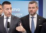 Miliony na vyskum jadroveho odpadu prudia sponzorovi Hlasu Sukromni partneri doteraz riesili kozmetiku a stavebne zakazky