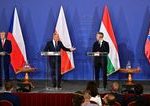 V4 je zvlastne spolocenstvo Strednu Europu nespajaju uspechy ale zlyhania komentar Borisa Zalu