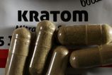 rekordny ulovok v cesku colnici v brne zaistili 800 kilogramov nelegalneho kratomu