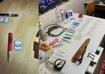 Policia rozbila skupinu organizujucu nelegalne psie zapasy v troch krajoch
