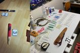 Policia rozbila skupinu organizujucu nelegalne psie zapasy v troch krajoch