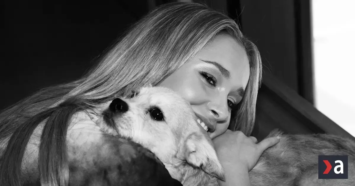 Americká herečka Hayden Panettiereová zomrela na predávkovanie