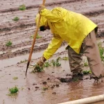 El Niño ohrozuje milióny detí v Latinskej Amerike
