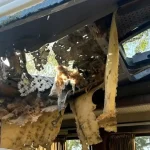 Ruský dron zasiahol ukrajinský minibus pri Nikopole, päť civilistov zahynulo