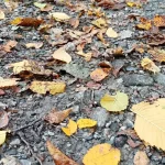 Na východe Slovenska hrozia v nedeľu zrážky, sever čaká ochladenie