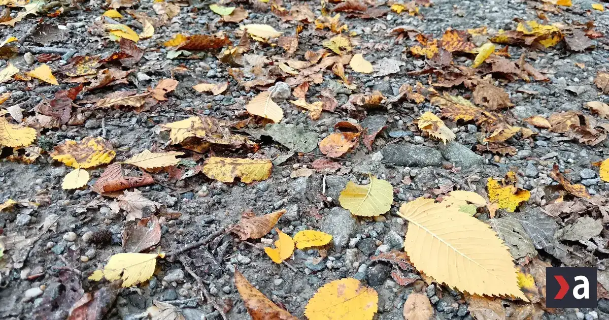Ochladenie ukončí letné teploty, ktoré počas týždňa pripomínali jeseň