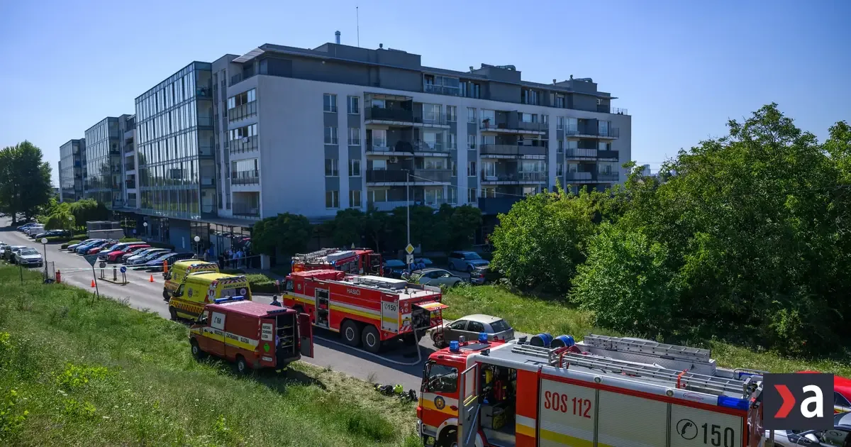 Ružinovská tragédia: Ivana F. dostala 19 rokov za vraždu dvoch detí